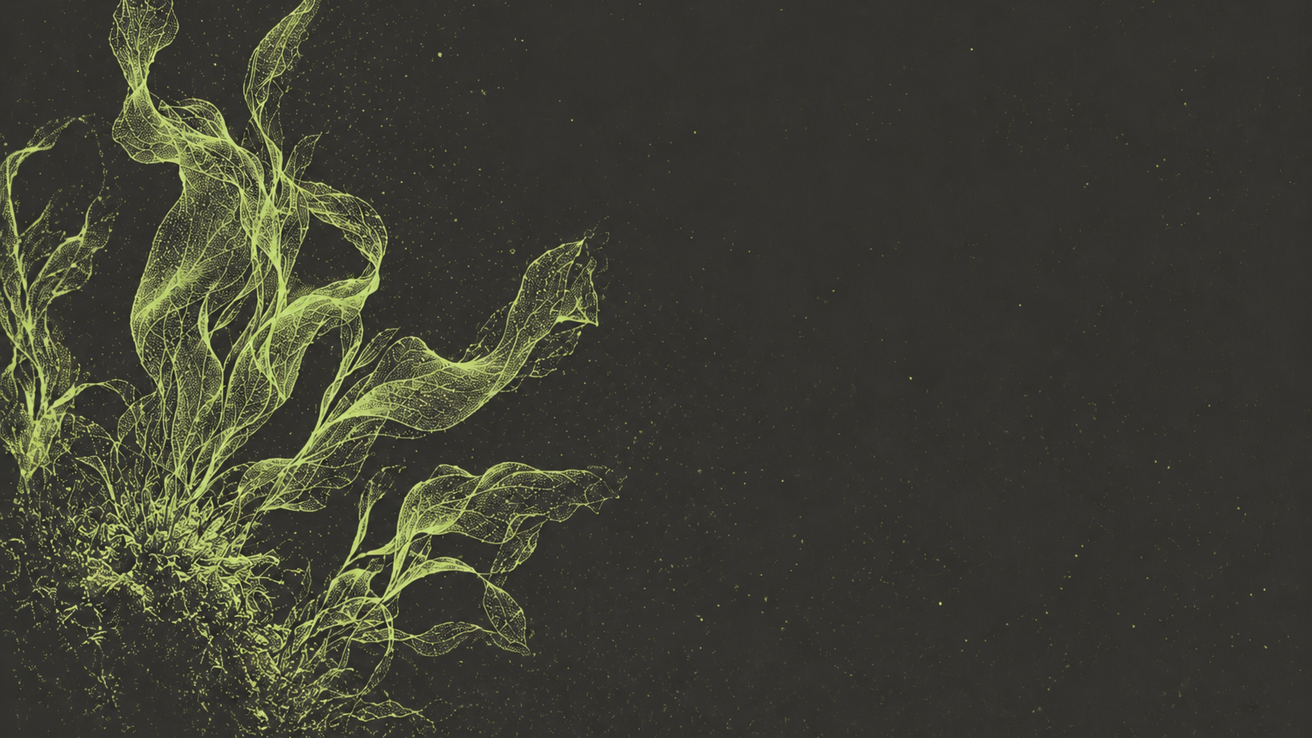Frondes organiques en stipple vert sur fond marron, onglet Actualités